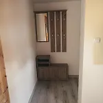 Dzem's