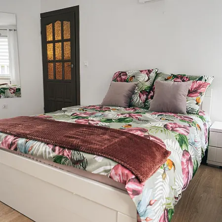 Dzem's 公寓 Lidzbark Warmiński