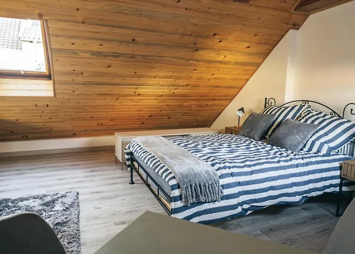 Dzem's Apartment Lidzbark Warminski